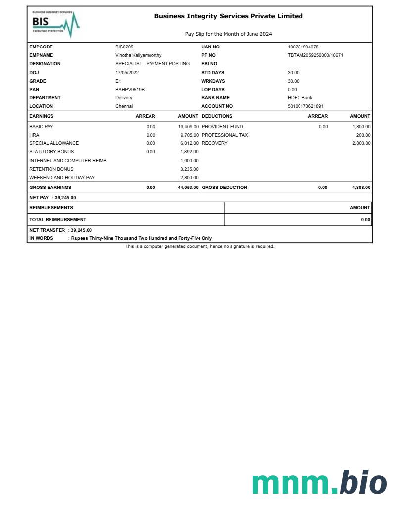 Szablon Business Integrity Services payslip w formatach Word i PDF